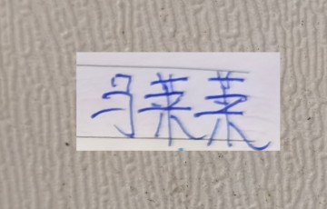 百家乐入门-申花迎战马莱莱首战前 又迎来喜讯 ！这次是轮到吴曦